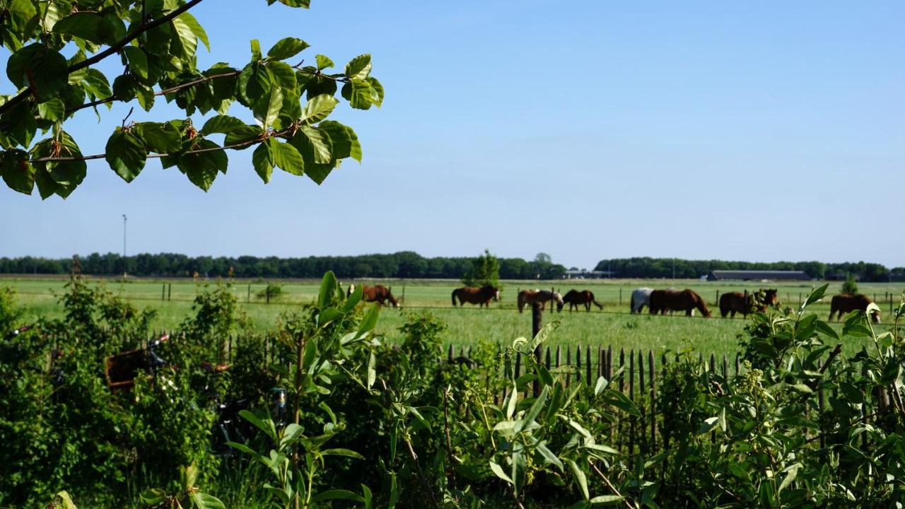 Luxe Safaritenten Petit013 - Nieuw Tilburg Esterno foto